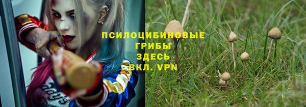 скорость Лагань