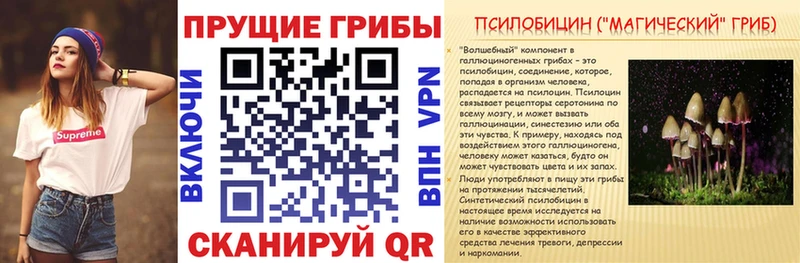 Галлюциногенные грибы прущие грибы  как найти закладки  Циолковский 